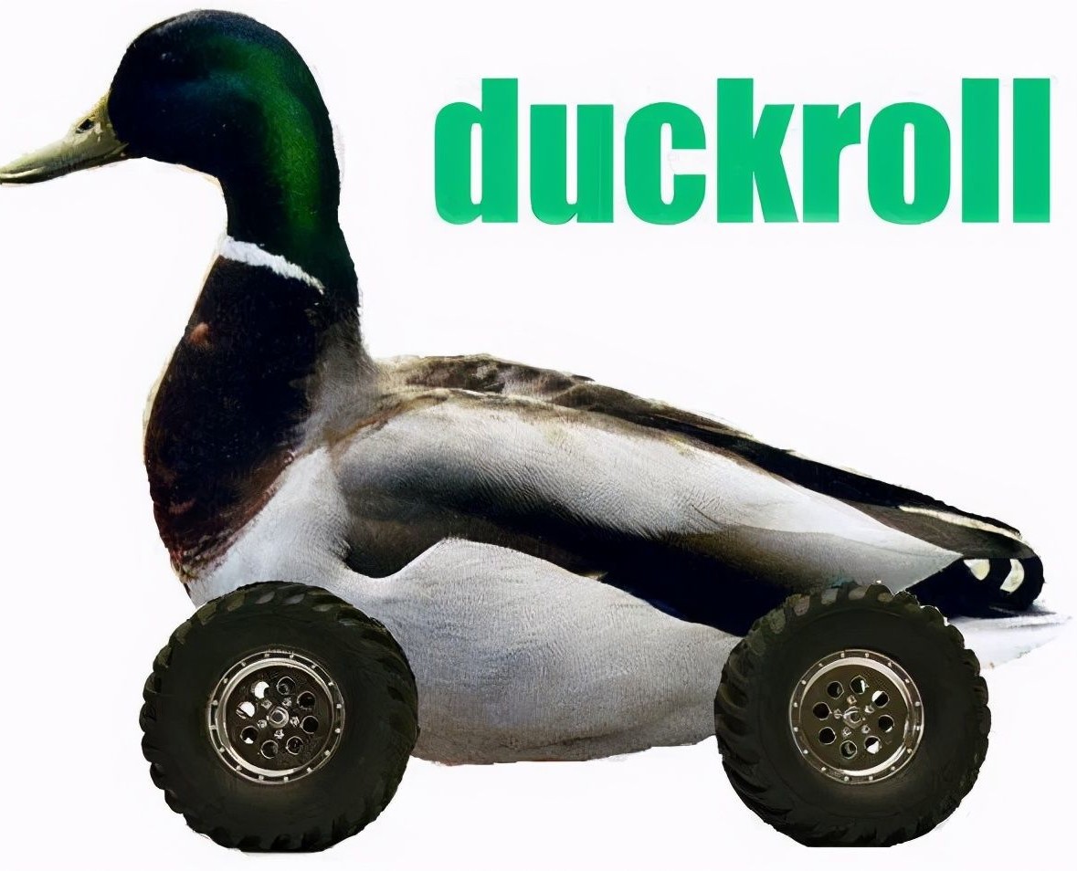 image du duckroll